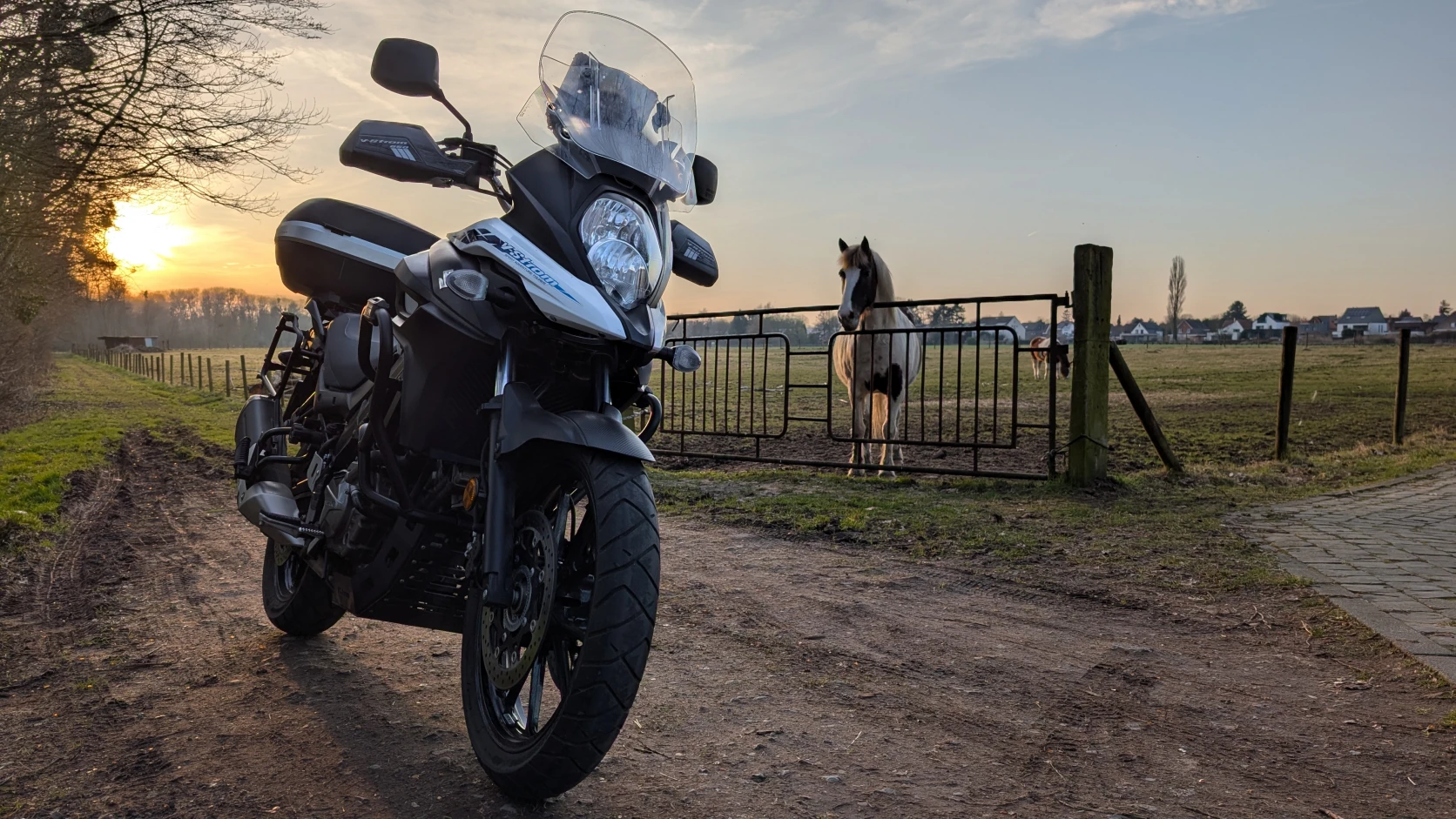 Suzuki V-Strom DL650